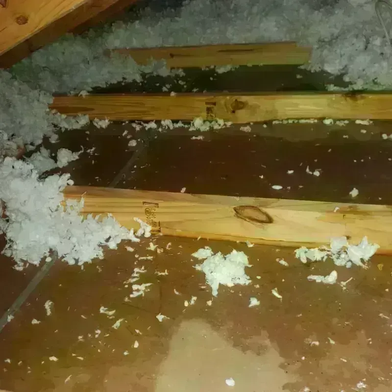 Attic Water Damage in Lincoln County, NV