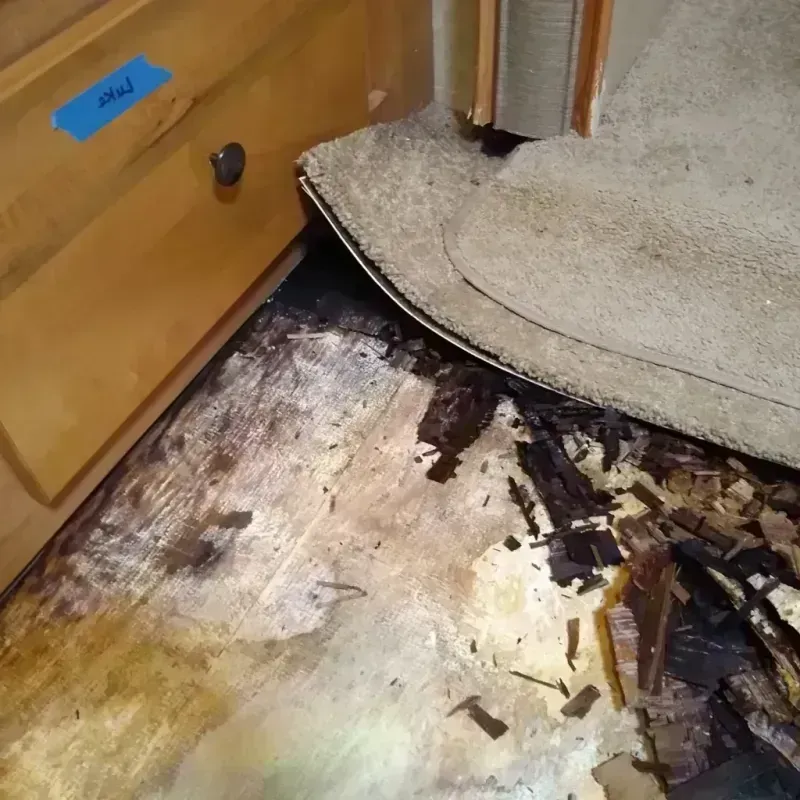 Wood Floor Water Damage in Lincoln County, NV